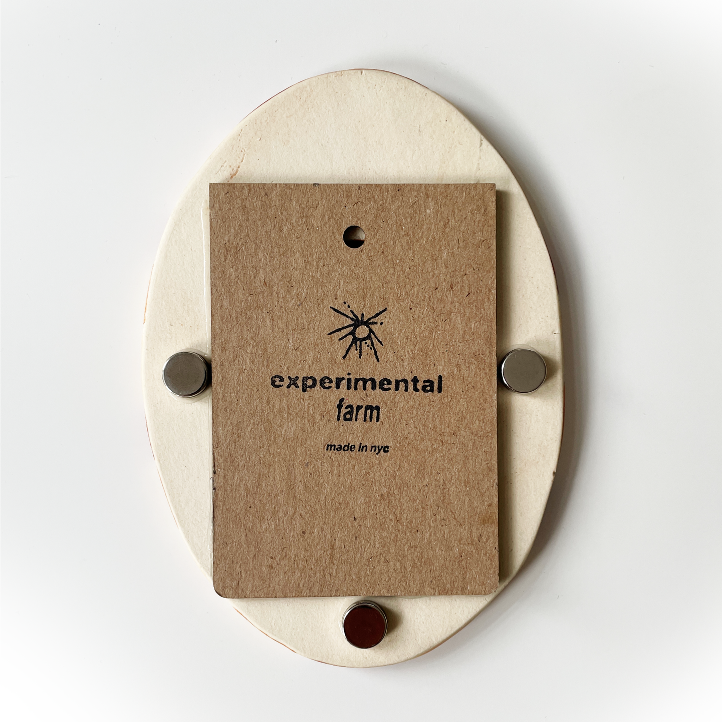 Sunburst Magnetic Instax Picture Frame + Photo