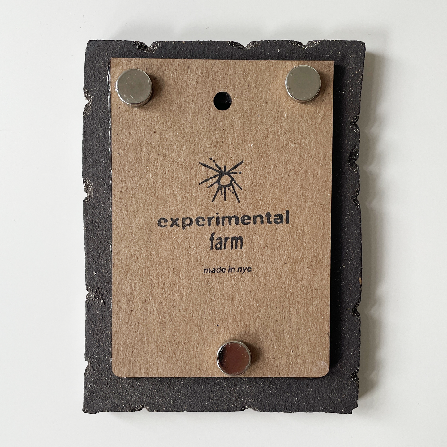 Stone Color Grunge Instax Picture Frame + Photo