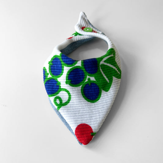 Fruits and Denim Pet Bandana - Extra Small