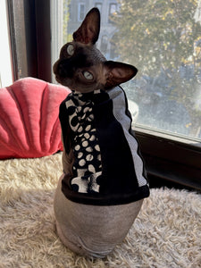 Patterns and textures cat shirt