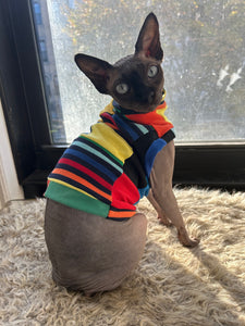 Colorful striped cat shirt