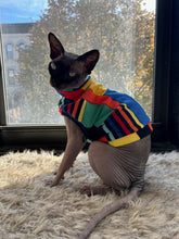 Load image into Gallery viewer, Colorful striped cat shirt