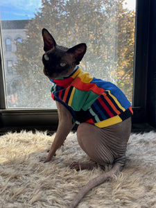 Colorful striped cat shirt