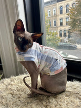 Load image into Gallery viewer, Delicate baby pattern cat shirt