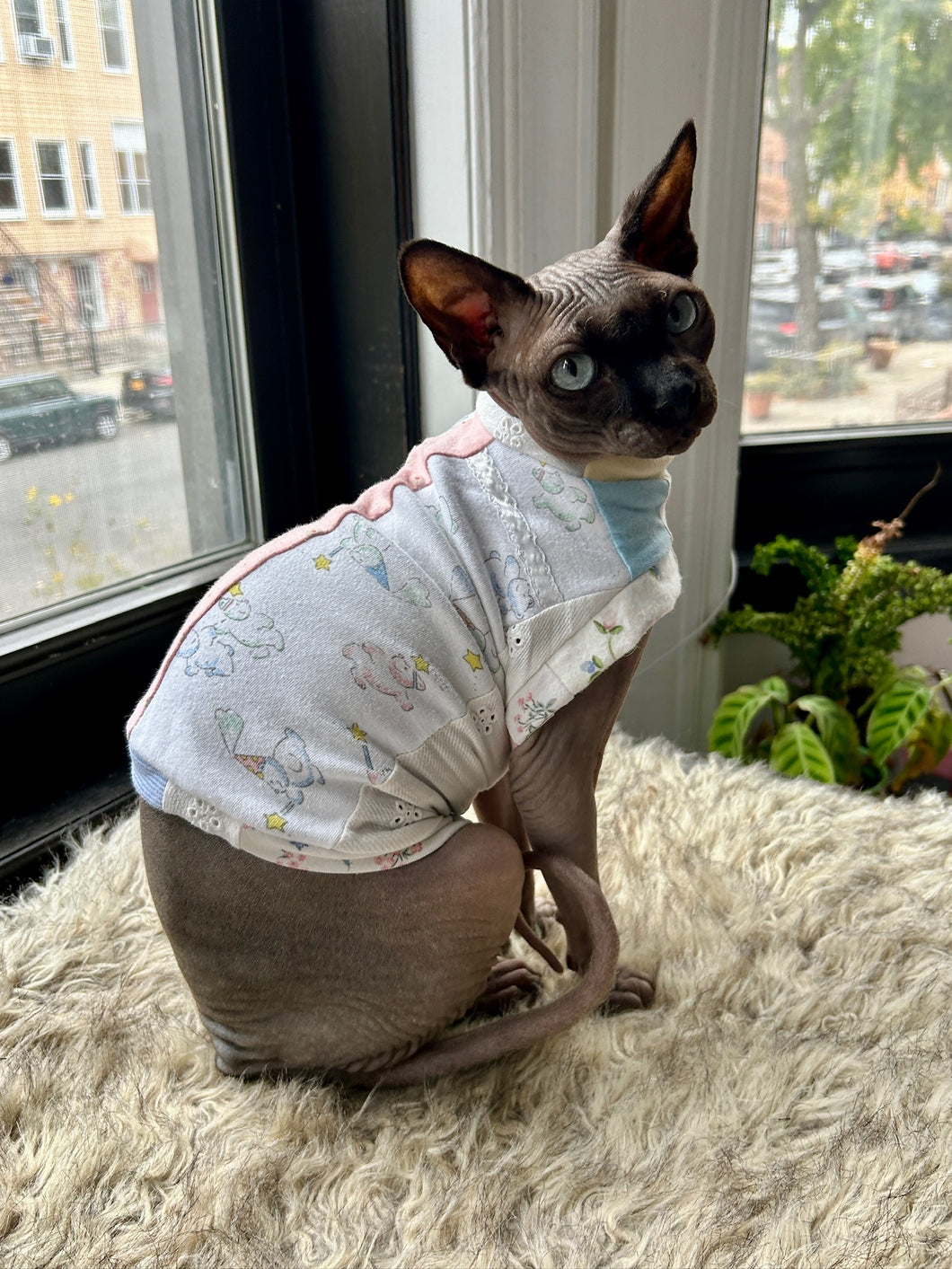 Delicate baby pattern cat shirt