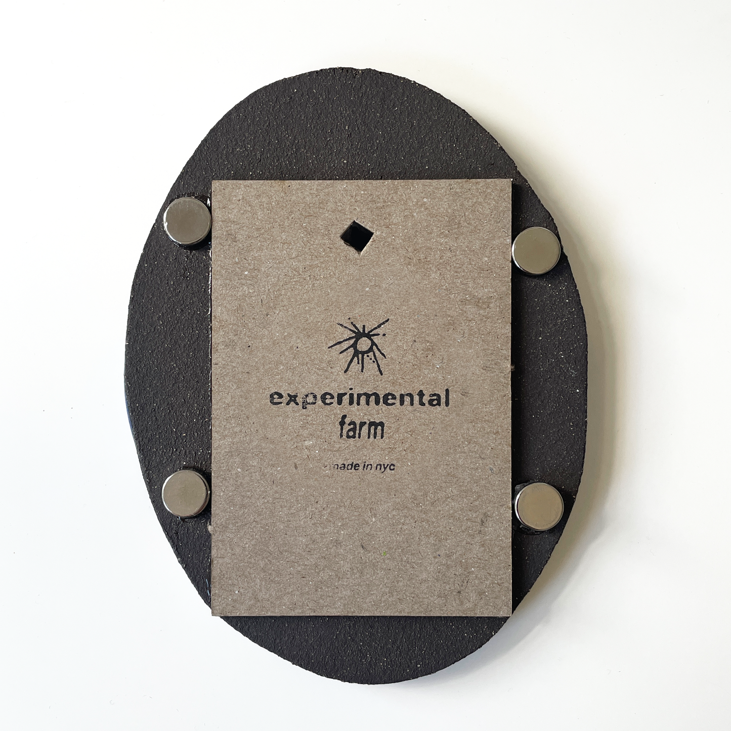 Dark Oval Color Wash Instax Picture Frame + Photo