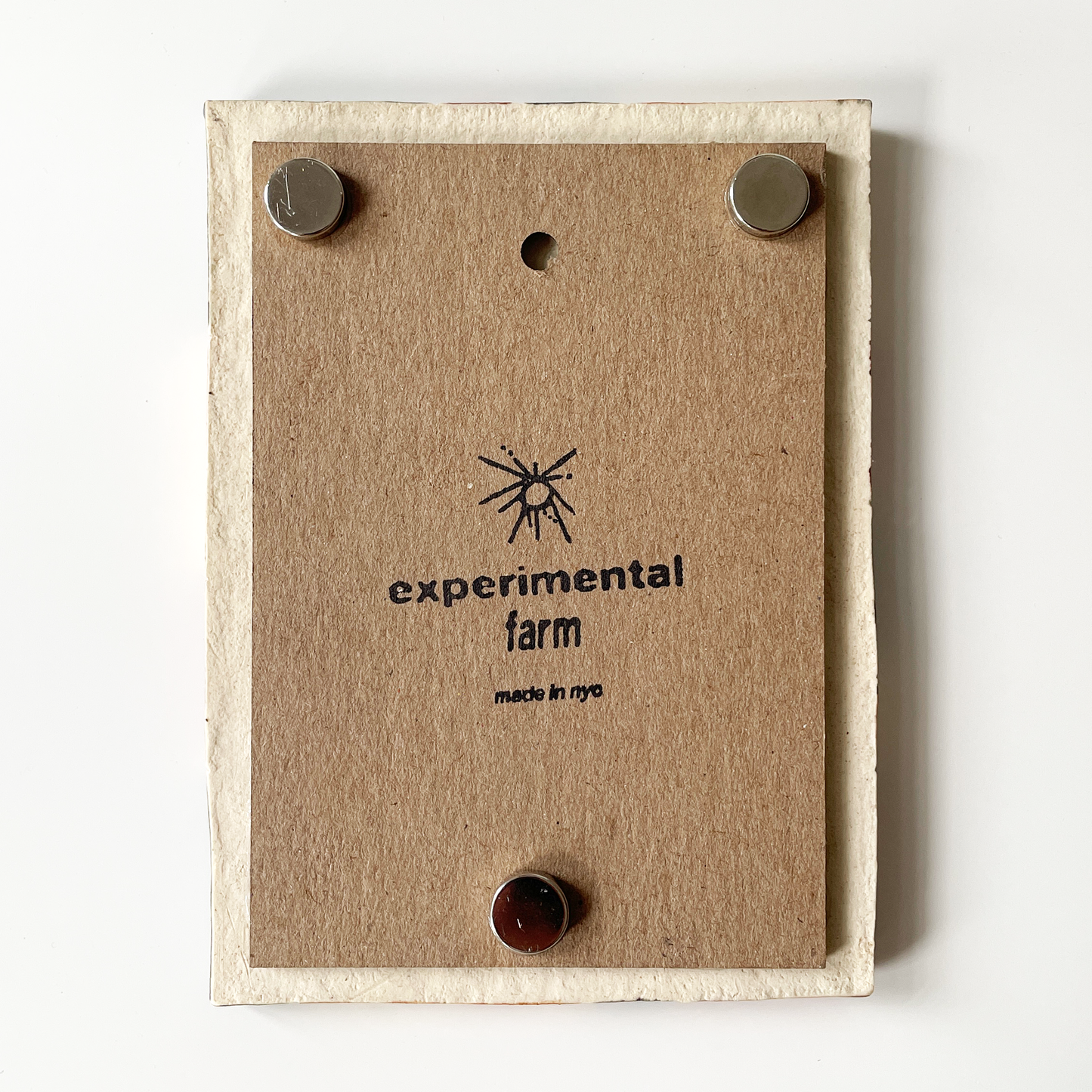 Radial Instax Picture Frame + Photo