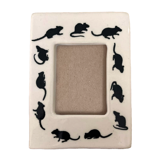 PREORDER 2026: Rat Ring Instax Picture Frame + Photo