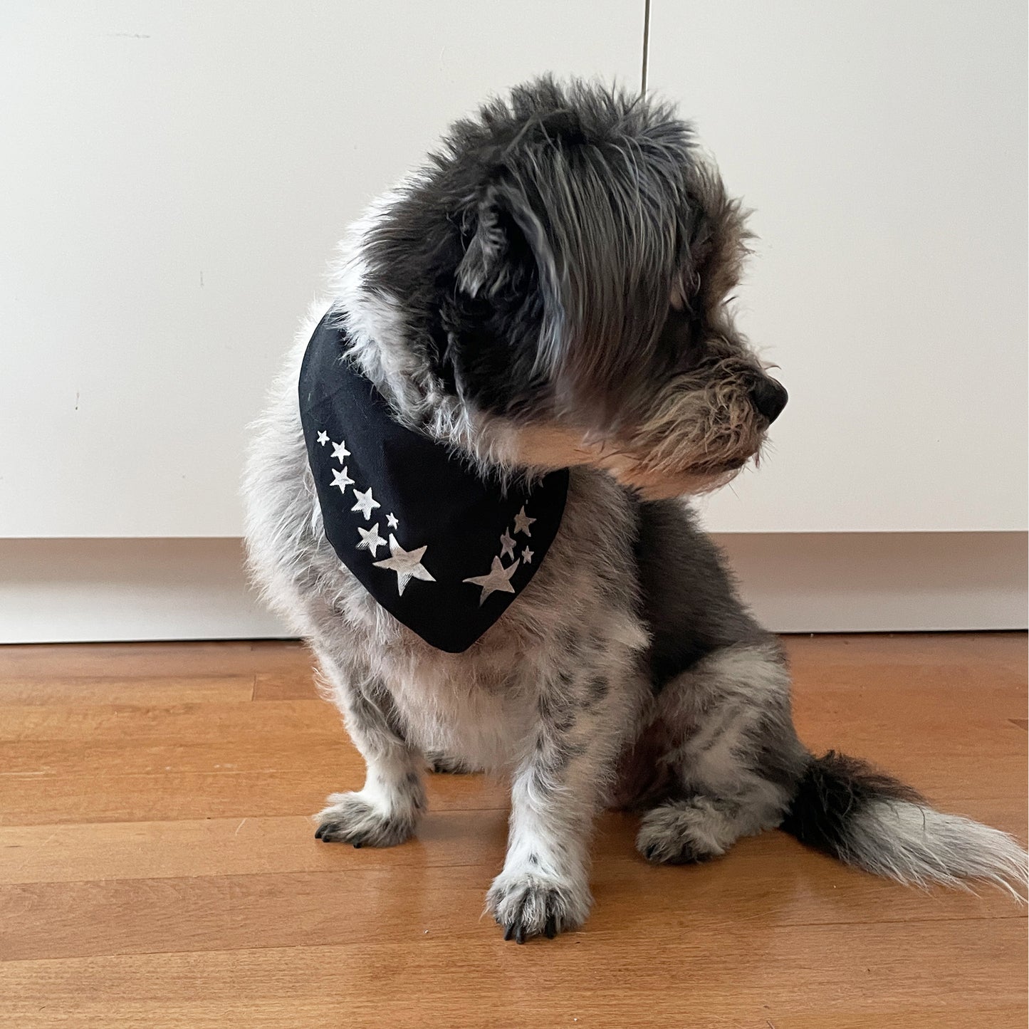 Stars and Polka Dots Pet Bandana - Medium